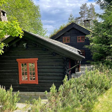 Hallingstua Осло Екстериор снимка