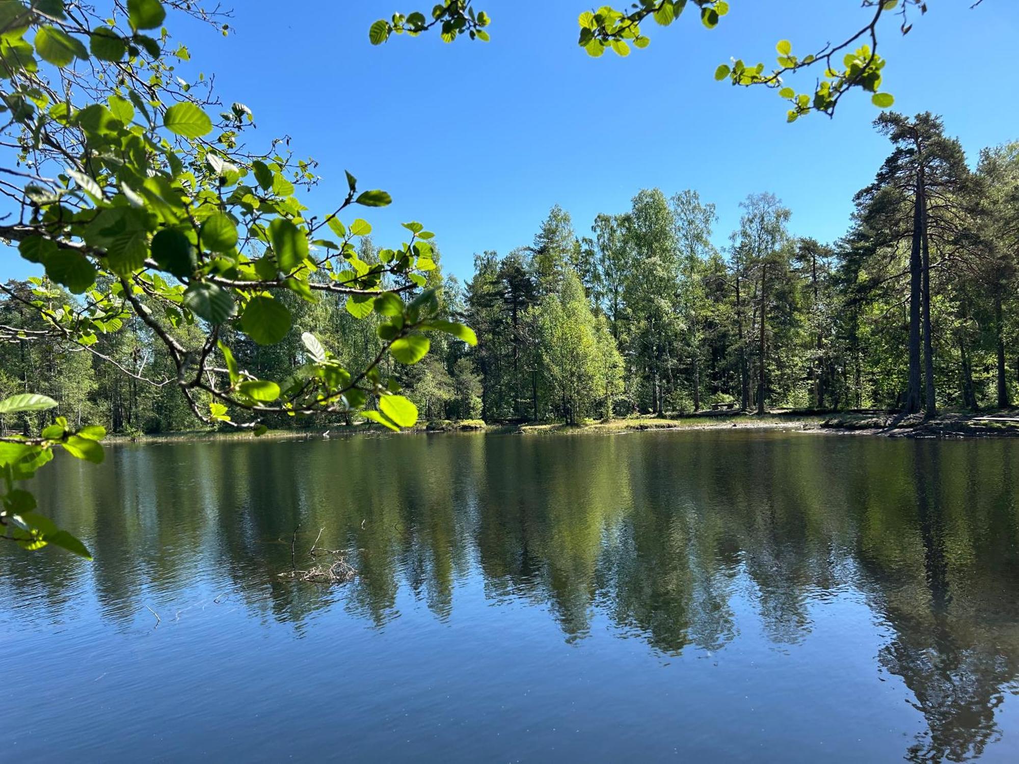 Hallingstua Осло Екстериор снимка